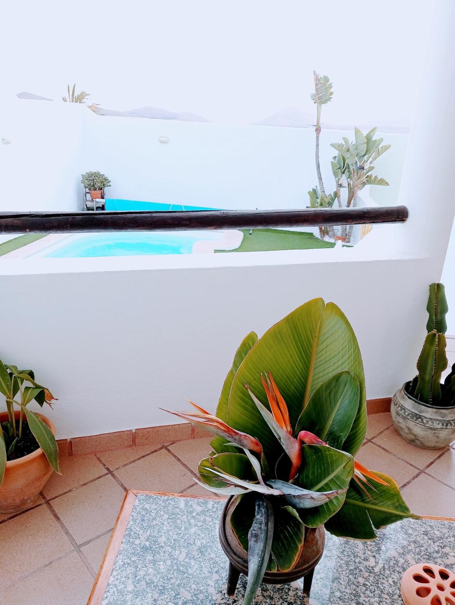 Vila Casa Strelitzia Nazaret Exteriér fotografie