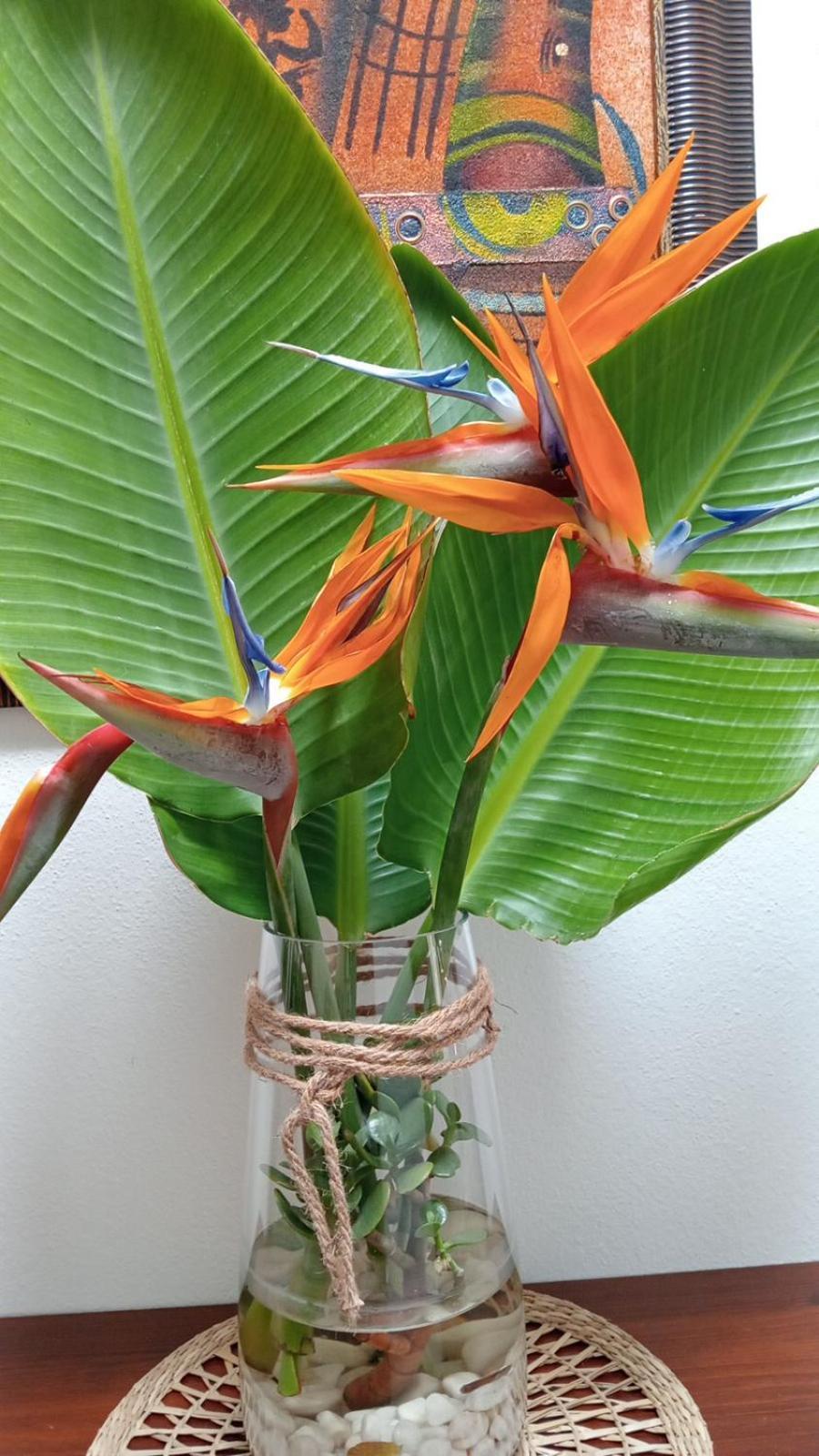 Vila Casa Strelitzia Nazaret Exteriér fotografie
